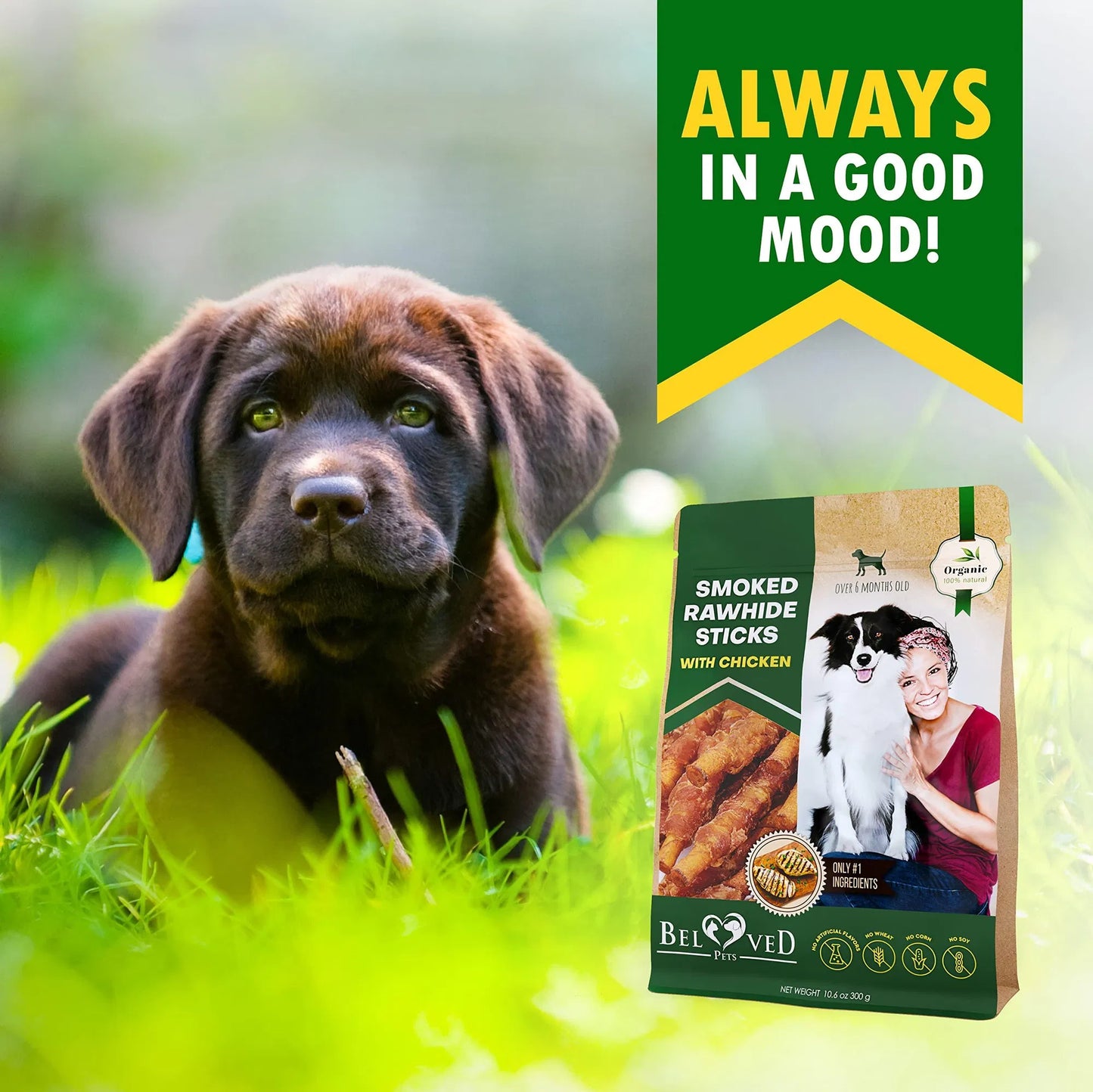 Chicken Wrapped Rawhide Sticks for Dogs - Natural Grain-Free Chews