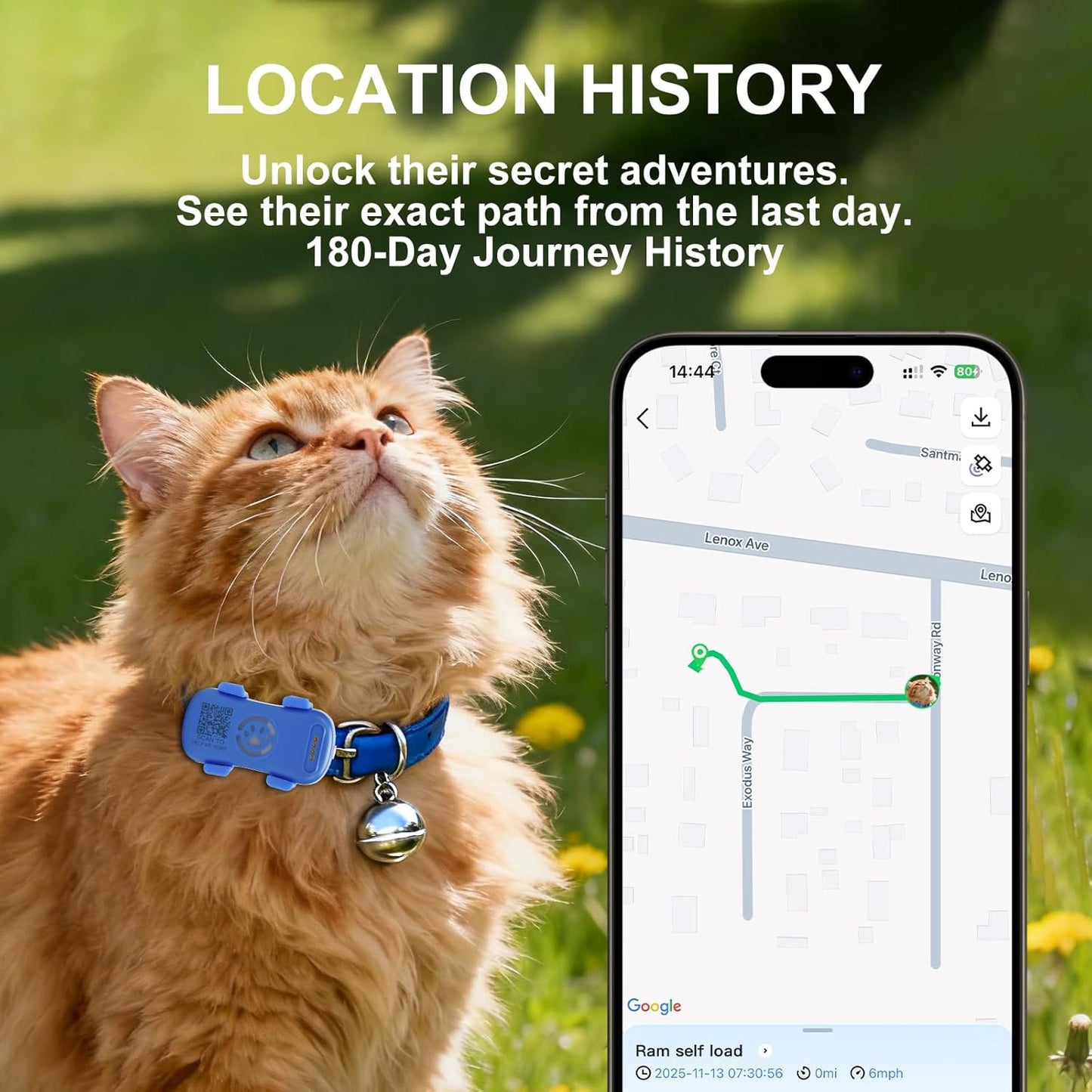 Real-Time Dog GPS Tracker - Waterproof Pet Locator with Geofence Alerts