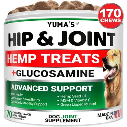 Hemp Hip & Joint Supplement for Dogs - Glucosamine Chews with MSM