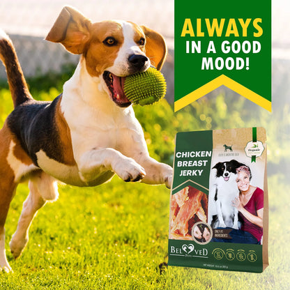 Chicken Jerky Dog Treats - 100% Natural High-Protein Chews (300g)